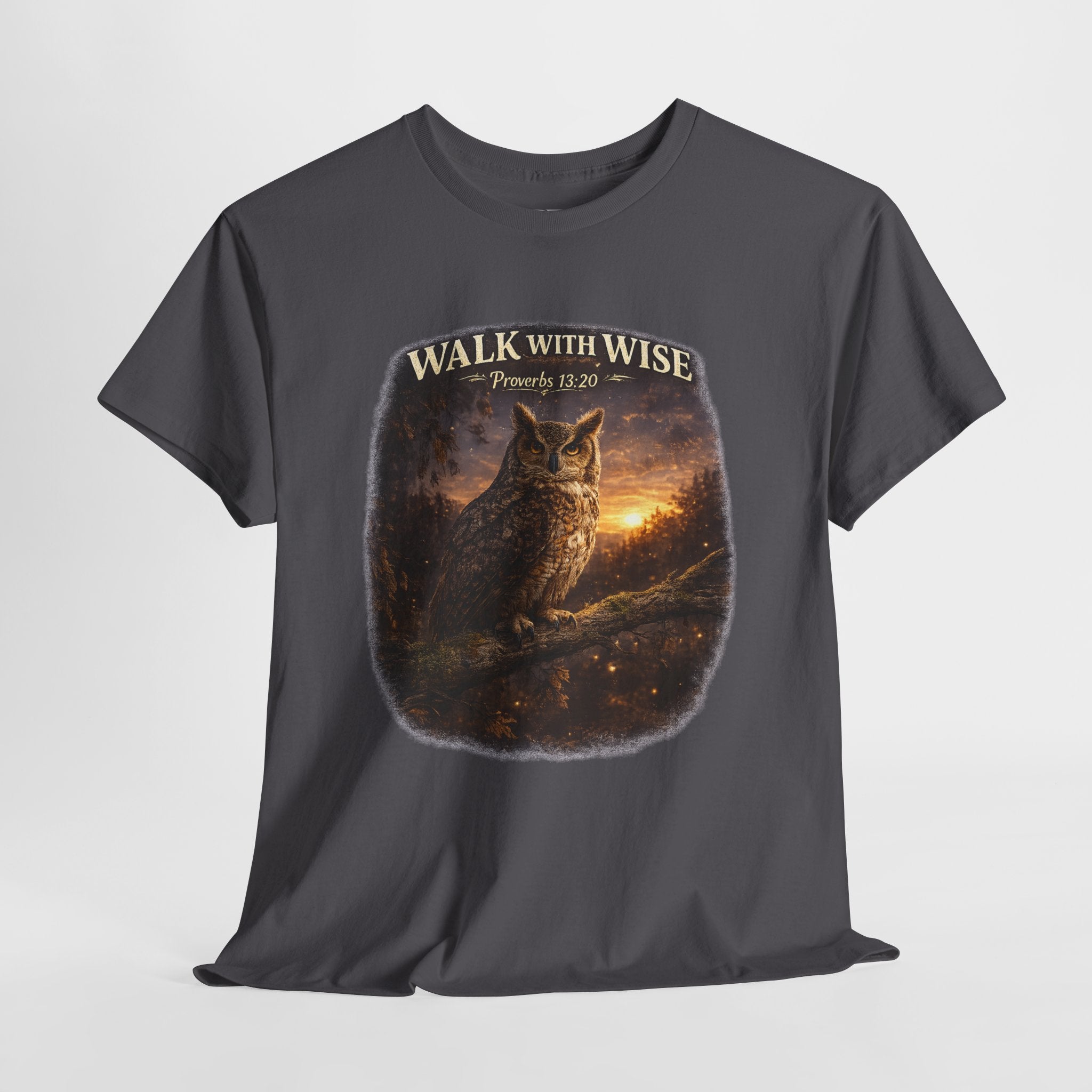 Walk With the Wise Christian Owl Shirt – Proverbs 13:20 Bible Verse – Wisdom Scripture Faith Graphic Tee