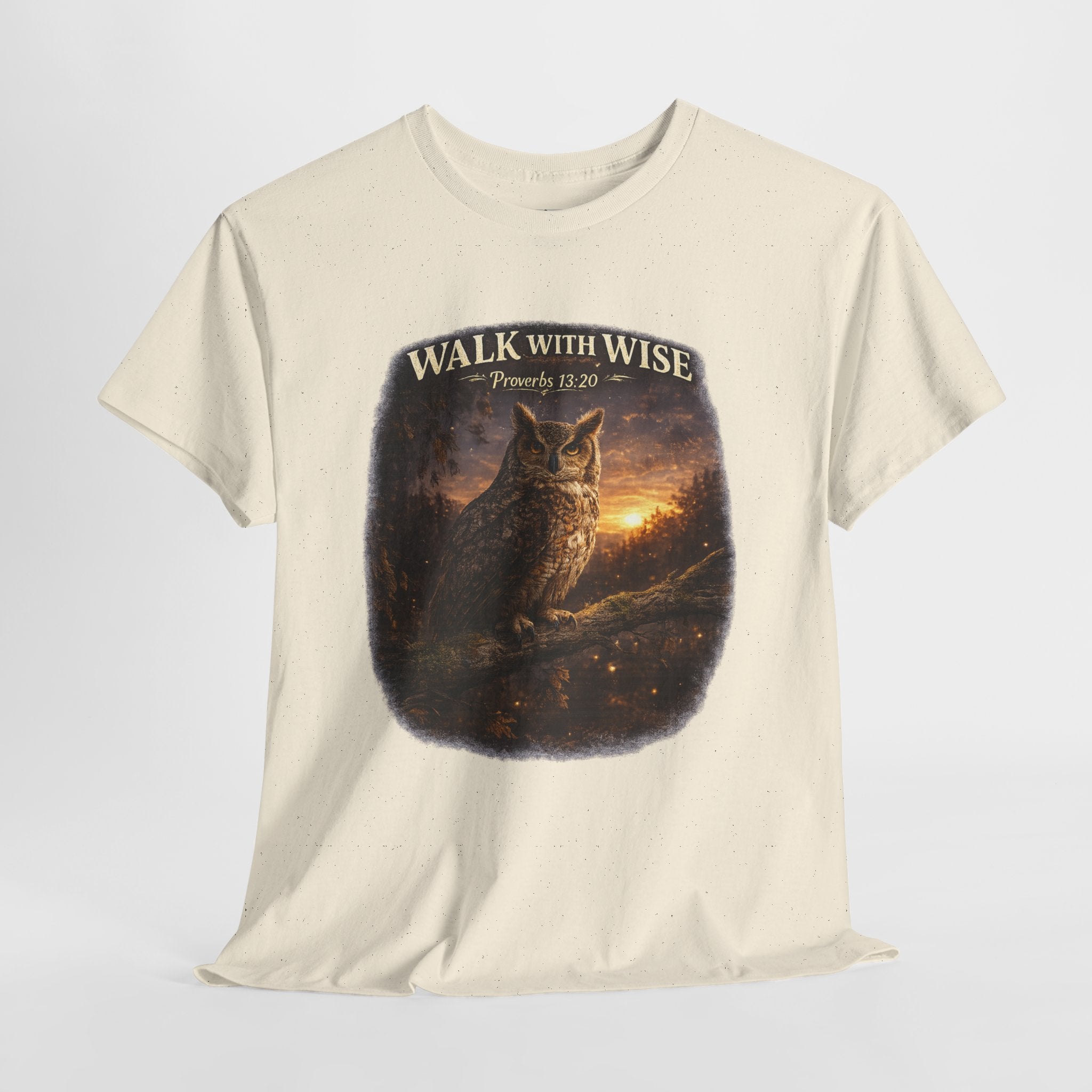 Walk With the Wise Christian Owl Shirt – Proverbs 13:20 Bible Verse – Wisdom Scripture Faith Graphic Tee