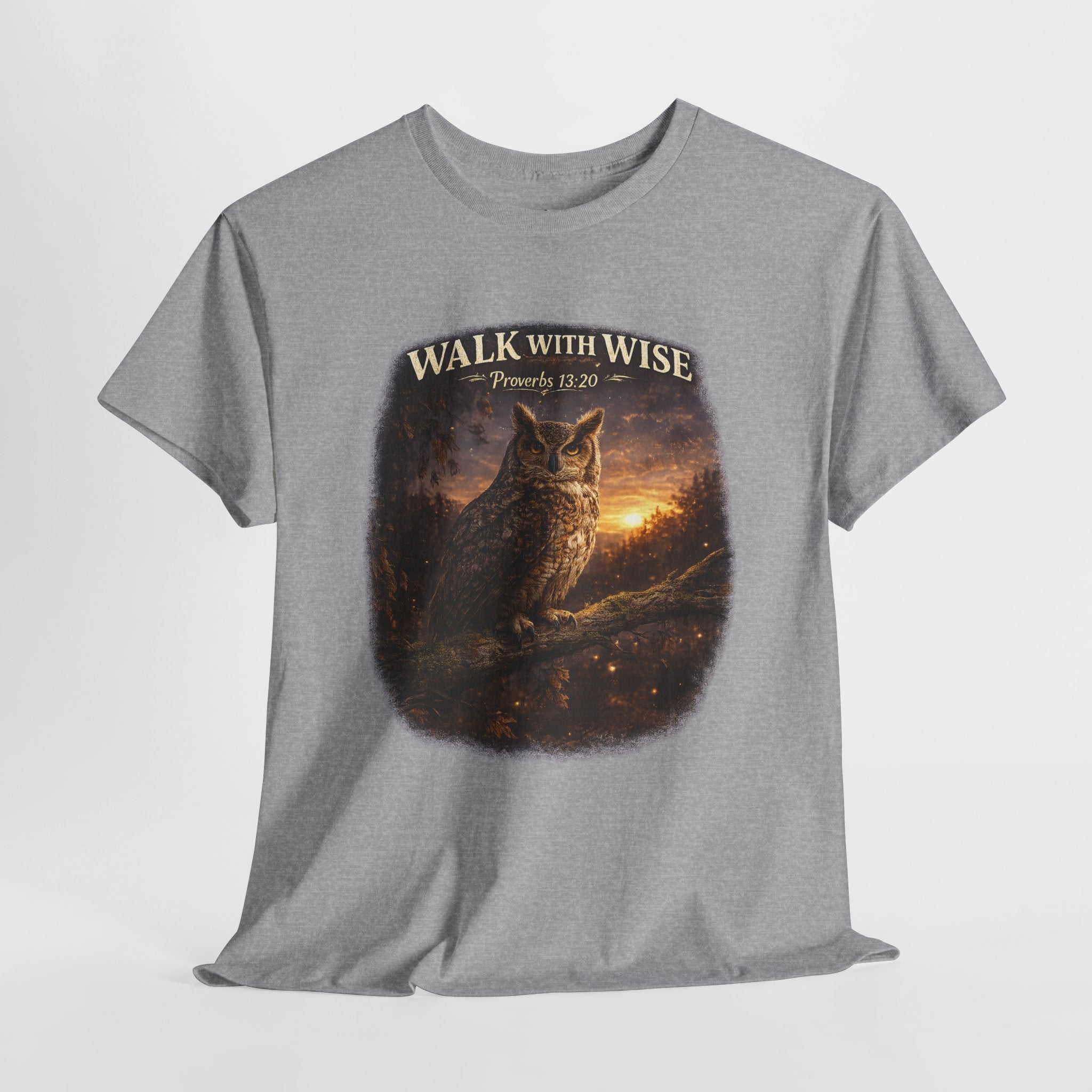 Walk With the Wise Christian Owl Shirt – Proverbs 13:20 Bible Verse – Wisdom Scripture Faith Graphic Tee