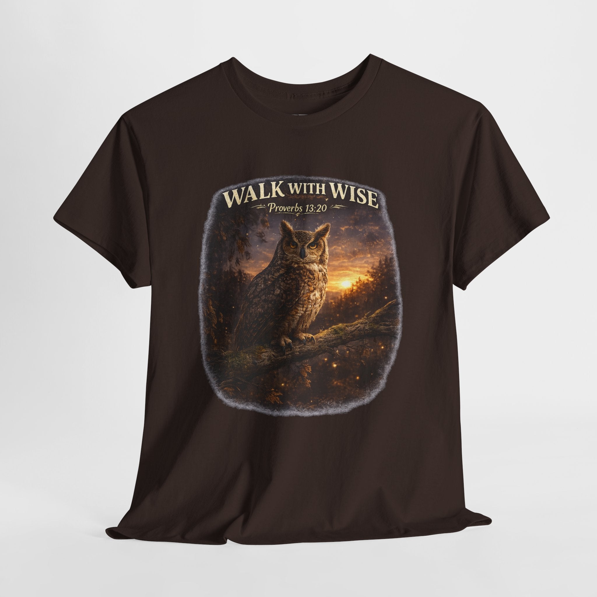 Walk With the Wise Christian Owl Shirt – Proverbs 13:20 Bible Verse – Wisdom Scripture Faith Graphic Tee