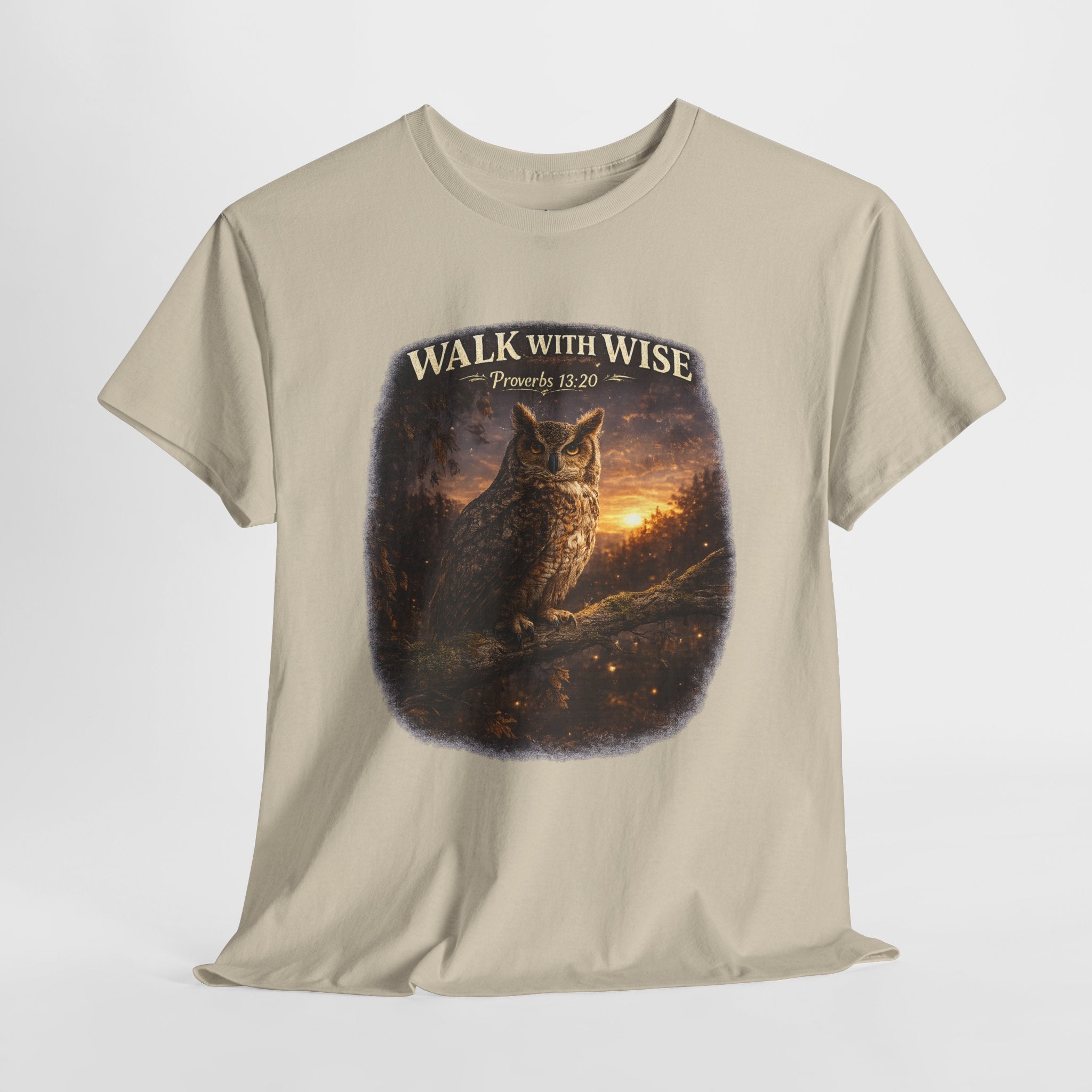 Walk With the Wise Christian Owl Shirt – Proverbs 13:20 Bible Verse – Wisdom Scripture Faith Graphic Tee